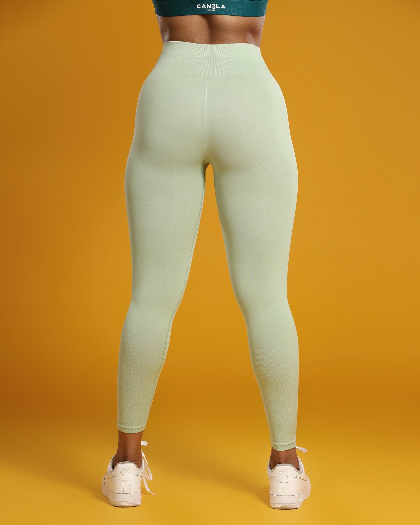 OBSESSION LIGHTWEIGHT SEAMLESS TIGHTS - SEAFOAM GREEN - CanelaFitness